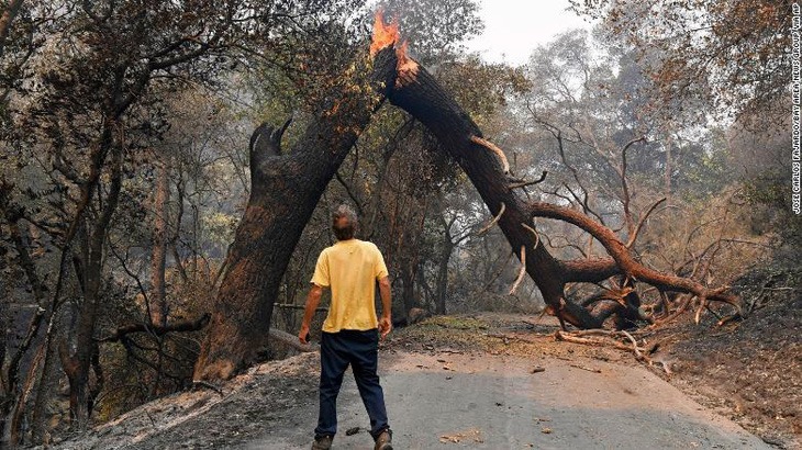 Sét đánh gây 560 đám cháy rừng khắp California, cứu hỏa chật vật vì thiếu người - Ảnh 7.