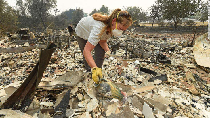 Sét đánh gây 560 đám cháy rừng khắp California, cứu hỏa chật vật vì thiếu người - Ảnh 4.