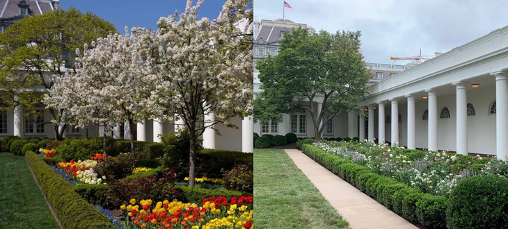 Vườn hồng Nhà Trắng của bà Melania Trump bị chê buồn chán - Ảnh 2.