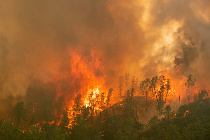 Nước Mỹ đối phó thiên tai: bão một bên, cháy rừng một bên - Ảnh 1.