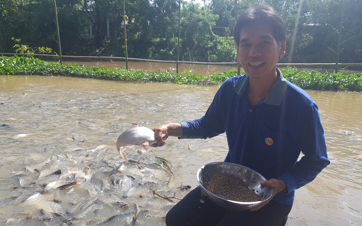 Chi tiền triệu nuôi đàn cá hàng ngàn con kéo đến sống trên kênh Thần Nông