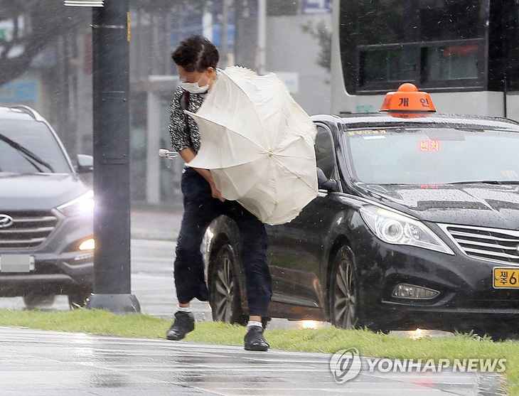 Hàn Quốc, Triều Tiên căng mình chống bão Bavi siêu mạnh - Ảnh 1.