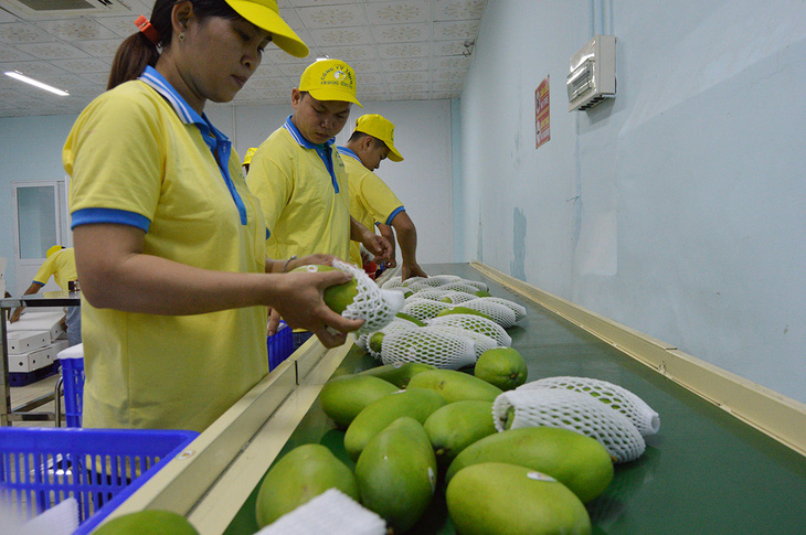 Cục Bảo vệ thực vật sẽ làm việc với hải quan Trung Quốc về chuyện trái cây mạo danh - Ảnh 1.