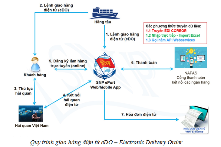 Cảng biển làm thủ tục qua mạng, thanh toán trực tuyến ngừa COVID-19 - Ảnh 1.