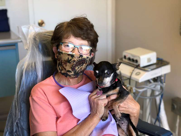 Gặp cô chó không răng chuyên an ủi bệnh nhân ở phòng nha - Ảnh 2.