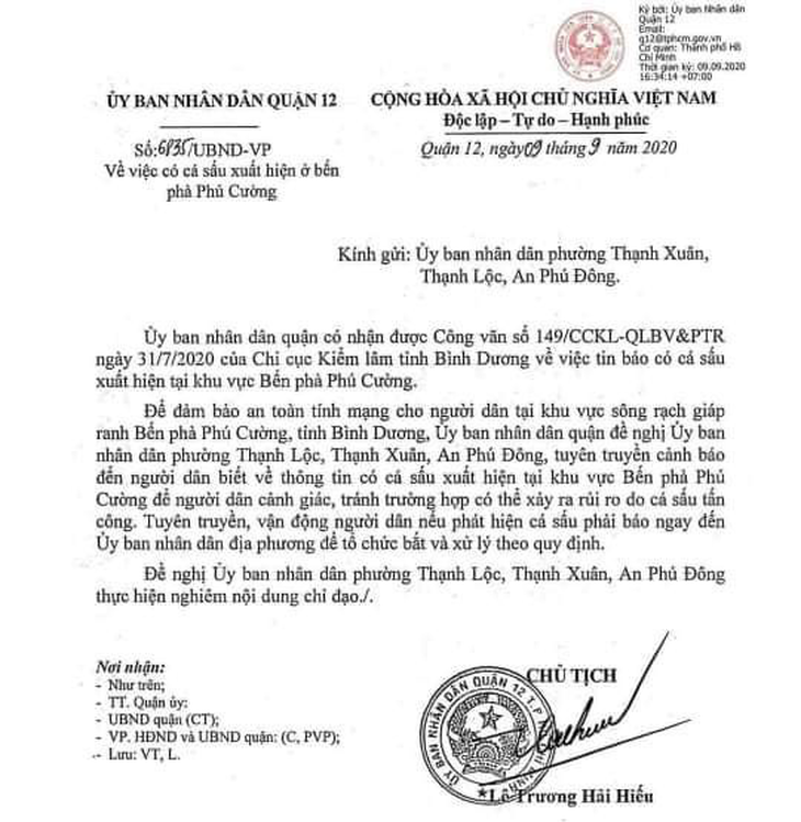Quận 12 cảnh báo thông tin có cá sấu trên sông Sài Gòn - Ảnh 1.