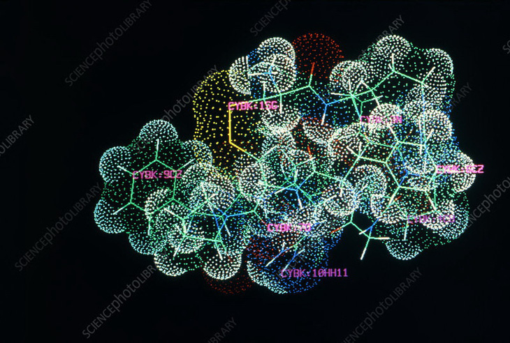 Bí mật của COVID-19: Đã có bão cytokine lại còn thêm bão bradykinin - Ảnh 2.