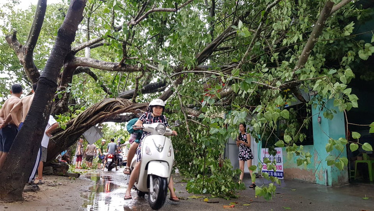 Bão số 5: Đà Nẵng chèn bao cát ngăn nước vào nhà, Huế có 14 người bị thương - Ảnh 4.