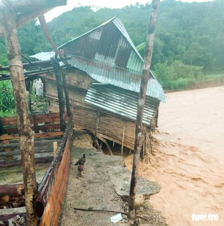 Nhà cửa đổ sập, trâu bò chết trôi tại Tây Giang do bão số 5 - Ảnh 2.