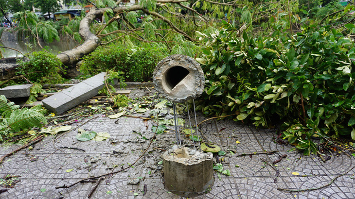 EVNCPC: Nhiều cột điện ở Huế gãy đổ trong bão do cây ngã đè - Ảnh 1.