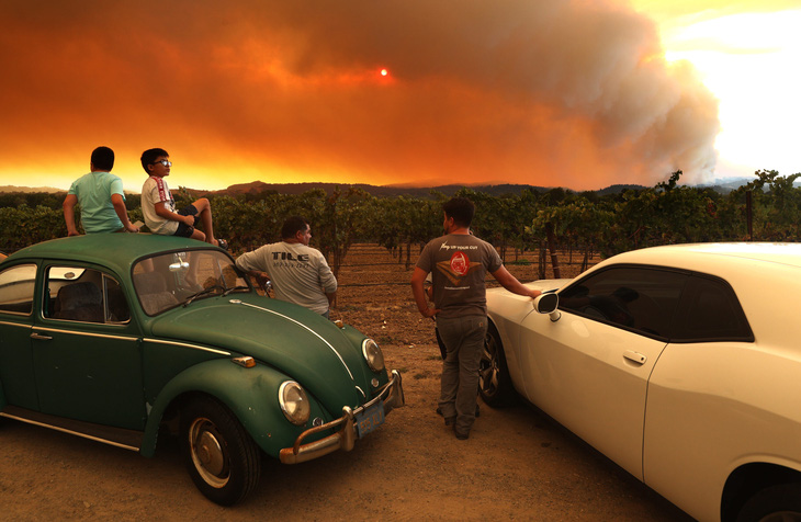 Cháy rừng lịch sử làm đổi hương vị nho California - Ảnh 1.