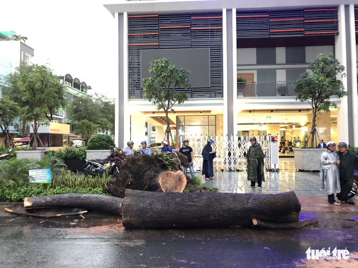 Nạn nhân vụ cây ngã trúng trên đường Nguyễn Tri Phương bị chấn thương nặng - Ảnh 1.
