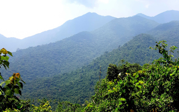 Trên đỉnh núi thiêng Bạch Mã - Kỳ 1: Rừng mưa nhiều nhất Việt Nam - Ảnh 4.