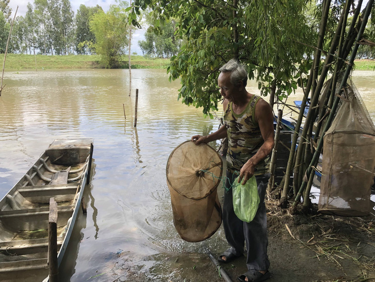 Đỏ mắt ngóng mùa cá - Ảnh 1.