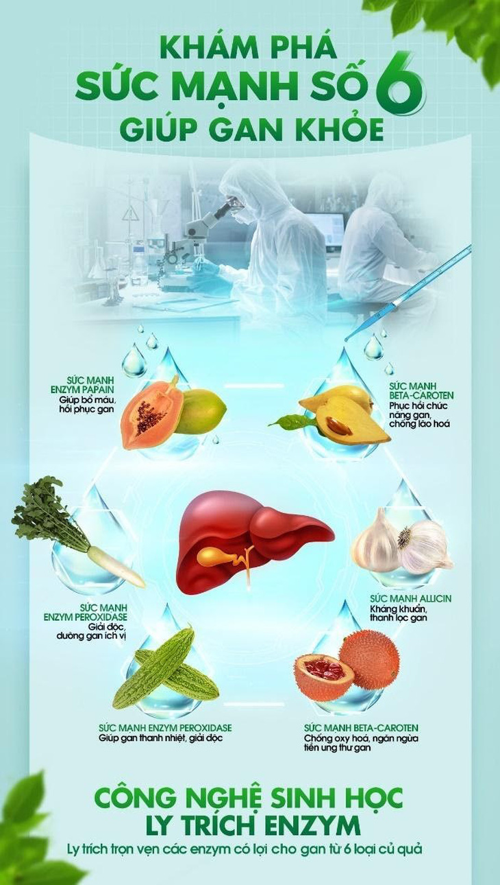 Ứng dụng công nghệ sinh học trong giải độc gan - Ảnh 3.