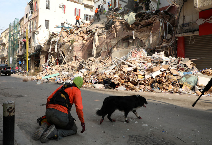 1 tháng sau vụ nổ, Lebanon phát hiện dấu hiệu sự sống dưới tòa nhà đổ nát - Ảnh 1.