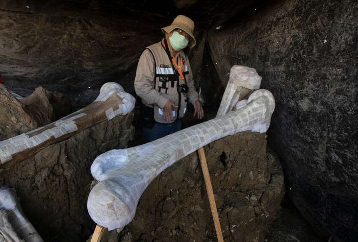 Tìm thấy hơn 200 bộ xương voi ma mút siêu khổng lồ gần nơi xây sân bay - Ảnh 1.