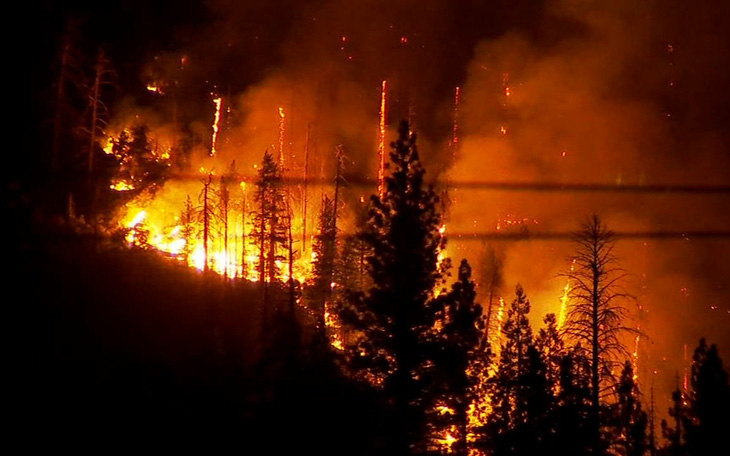 Bang California ban bố tình trạng khẩn cấp tại 5 quận vì cháy rừng