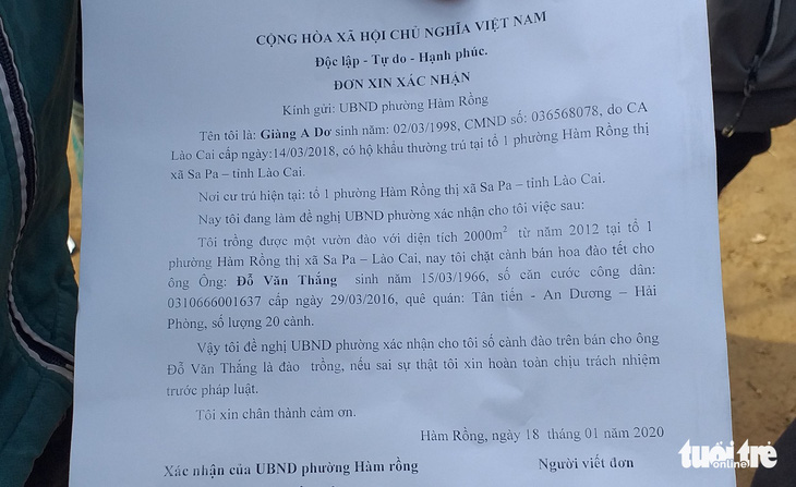 Người dân Sa Pa làm đơn xin xác nhận đào cổ tự trồng để không nhầm lẫn đào rừng - Ảnh 5.