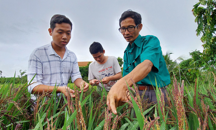 Tôi mua muối về... bón lúa, người ta bảo tôi điên - Ảnh 1.