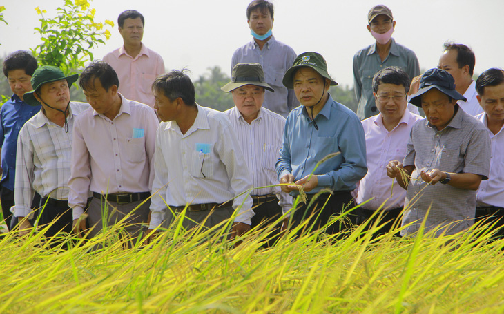 Kỹ sư Hồ Quang Cua trải lòng với Bộ trưởng NN-PTNT chuyện gạo ST25 rớt hạng