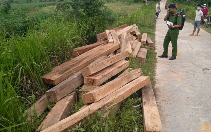 Tạm đình chỉ công tác nhân viên bảo vệ rừng tàng trữ trái phép hơn 5,45m3 gỗ