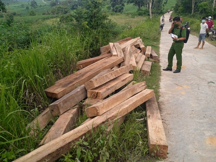 Tạm đình chỉ công tác nhân viên bảo vệ rừng tàng trữ trái phép hơn 5,45m3 gỗ - Ảnh 1.