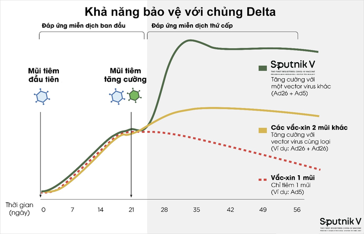 Sputnik V là vắc xin chống biến chủng Delta tỉ lệ cao - Ảnh 4.