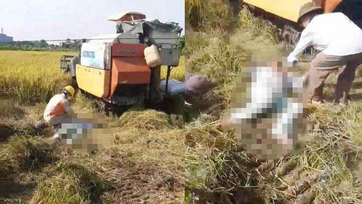 Hai người chết bên cạnh máy gặt lúa sau khi đường điện 35kV gặp sự cố - Ảnh 1.