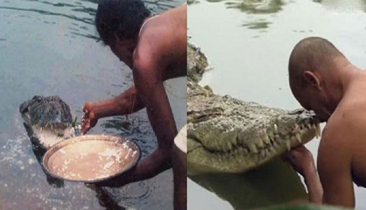Cá sấu ‘quy y trong đền Ấn Độ, ăn chay suốt 70 năm - Ảnh 1.