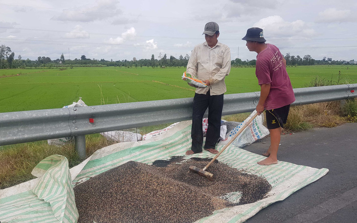 Nông dân khóc ròng với phân bón - Ảnh 1.