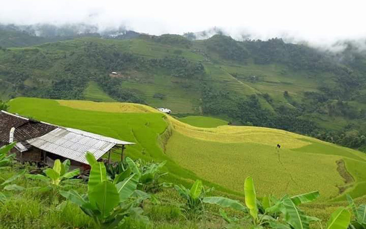 Bài tham dự cuộc thi 