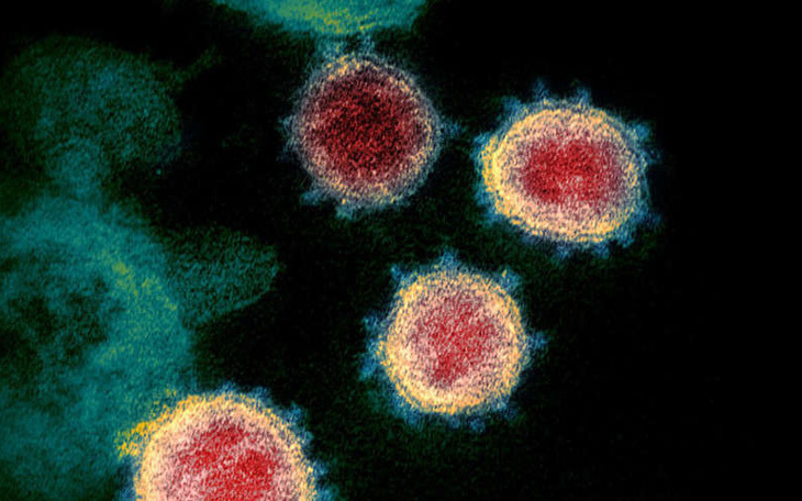 Biến thể virus corona &quot;có thể làm giảm hiệu quả vắc xin&quot; xuất hiện rồi tuyệt chủng?