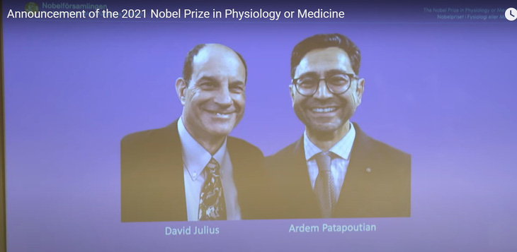 Nobel Y sinh vinh danh 2 nhà khoa học Mỹ khám phá về nhiệt độ và xúc giác - Ảnh 1.