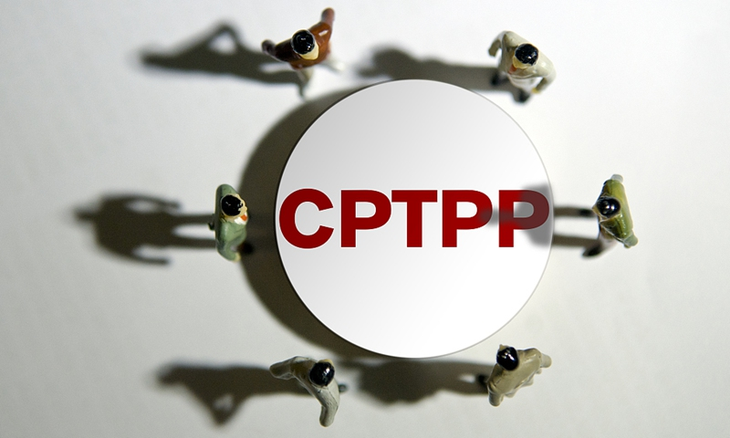 Nhật ủng hộ Đài Loan gia nhập CPTPP? - Ảnh 1.