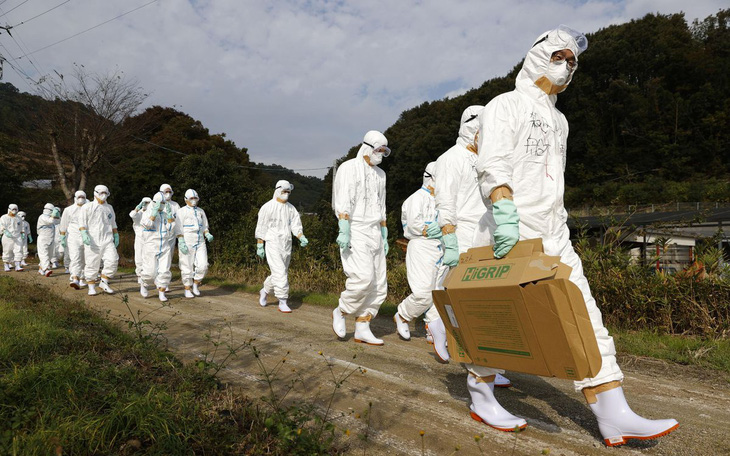 Nhật phát hiện ổ dịch cúm gia cầm 