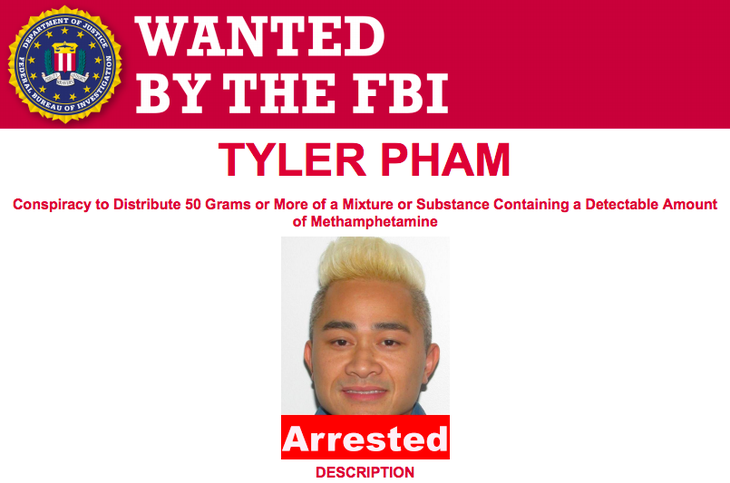 Việt Nam trao trả tội phạm bị FBI Mỹ truy nã - Ảnh 1.