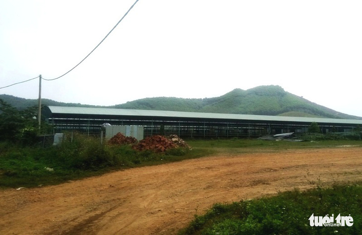 Hai cựu lãnh đạo doanh nghiệp liên quan đến dự án trại bò đầy tai tiếng ở Hà Tĩnh lãnh án - Ảnh 3.