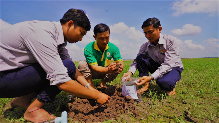 Thuốc bảo vệ thực vật sinh học nâng cao chất lượng nông sản - Ảnh 2.