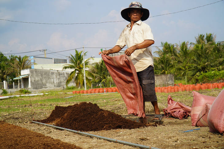 E dè trồng hoa Tết - Ảnh 3.