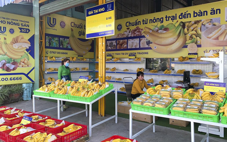 Union Trading đạt doanh thu 1,2 triệu USD xuất khẩu chuối - Ảnh 1.