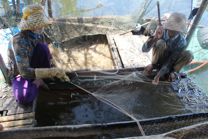 Người Việt dần xa Biển hồ Tonle Sap - Kỳ 2: Đi đâu rồi cũng về lại Biển hồ - Ảnh 2.