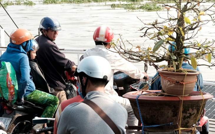 Cuộc đoàn viên cuối cùng