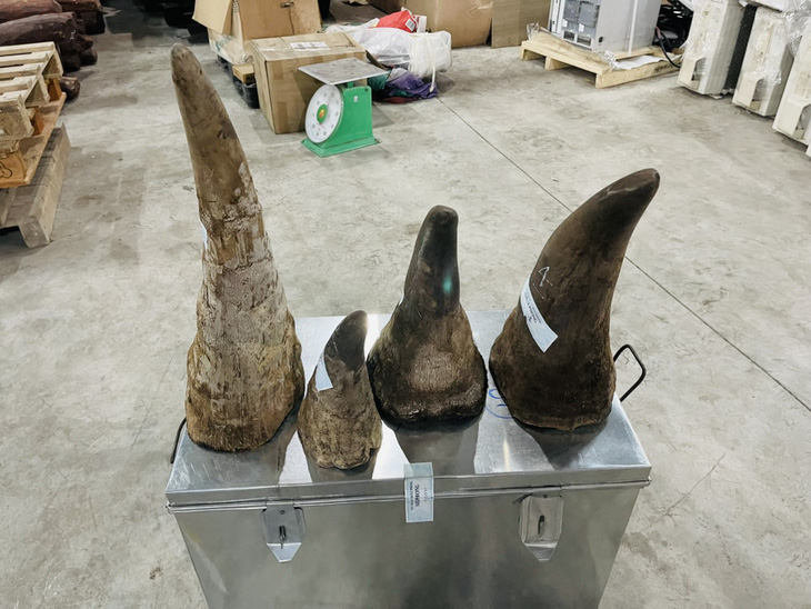 Phát hiện gần 20kg sừng tê giác tại cảng Hải Phòng, giá thị trường hàng chục tỉ đồng - Ảnh 2.