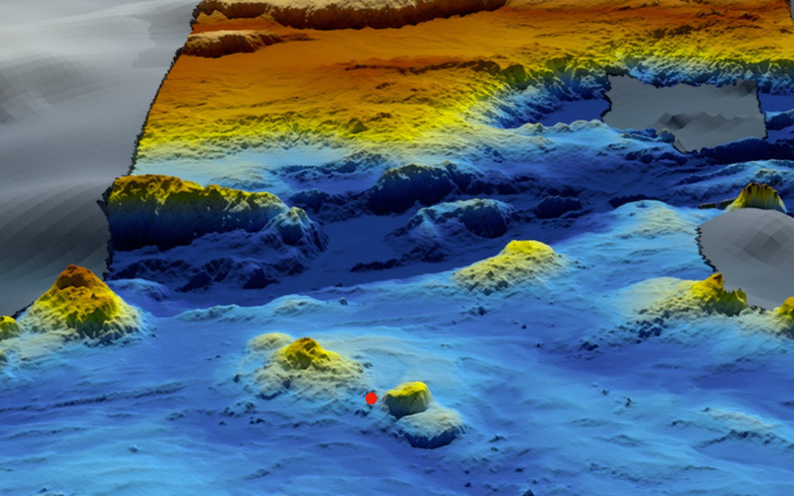 Kỹ sư hàng không Anh tuyên bố xác định được vị trí chính xác của máy bay MH370