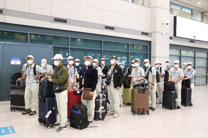 Lao động nước ngoài ở Hàn Quốc không có visa F5 muốn gia hạn lưu trú - Ảnh 1.