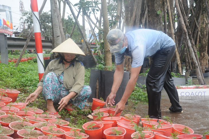 Nông dân Quảng Nam lội lũ cứu hoa tết - Ảnh 5.