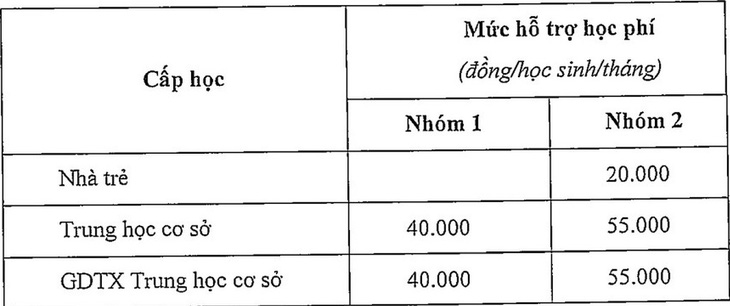 TP.HCM: Đề xuất miễn học phí công lập, hỗ trợ học phí tư thục trong học kỳ 2 - Ảnh 3.