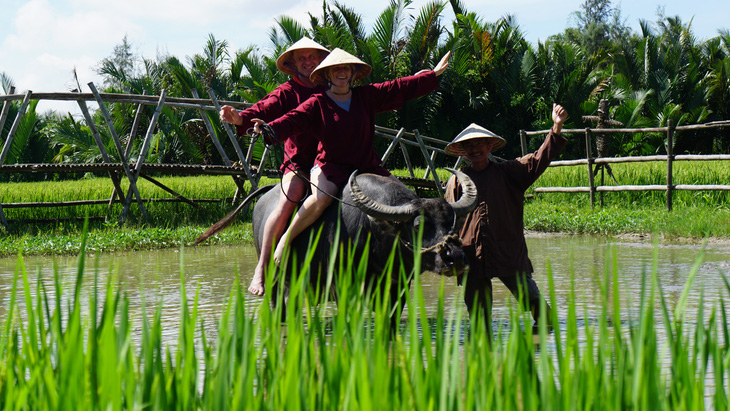 Những chú trâu vui vẻ, thơm tho đón khách ở Hội An - Ảnh 4.