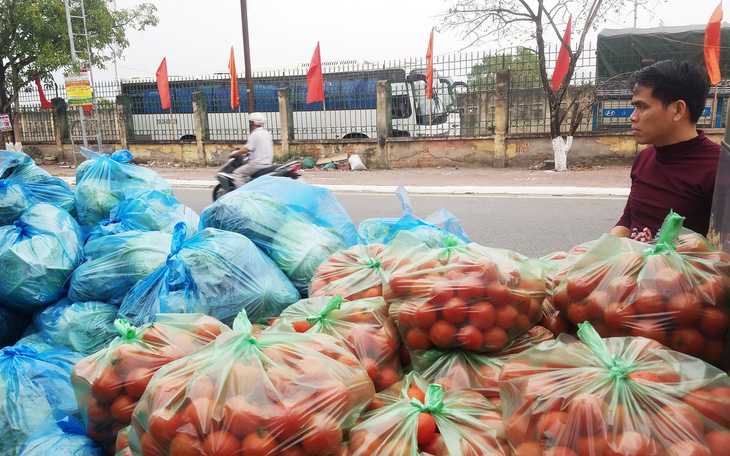 Nhiều nông sản Hải Phòng mong được 